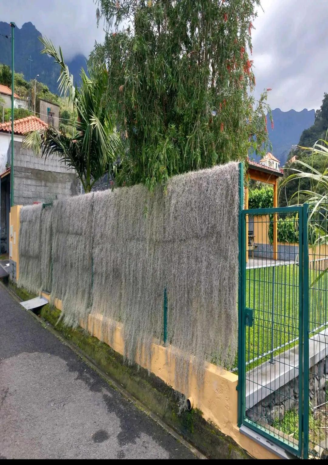 Vila Refugio Do Limoeiro São Vicente Exteriér fotografie